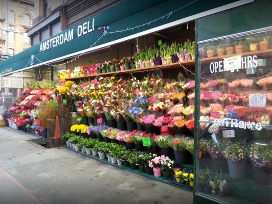 Amsterdam Cafe by null