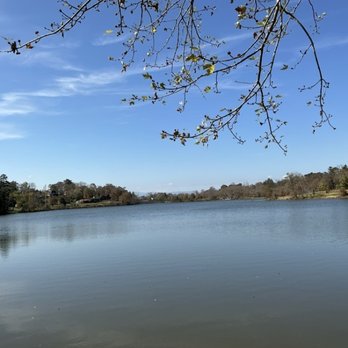 Beaver Lake Bird Sanctuary - Parks Near Me - Asheville, North Carolina Beaver Lake Bird Sanctuary - Parks Near Me - Asheville, North Carolina