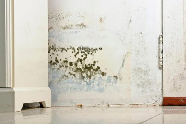 Environmental Safety Management Corporation