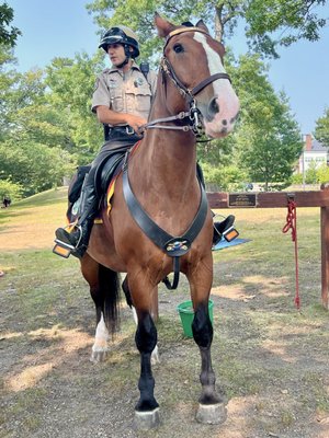Jamaica Pond Park by null