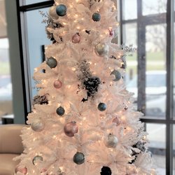 SimplySkin Medspa - Front Lobby Tree Display