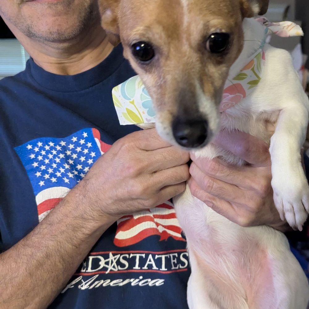 Shear Pawfections - Sweetie home from getting spa day! - Pet Groomers Near Me - Knoxville, Tennessee