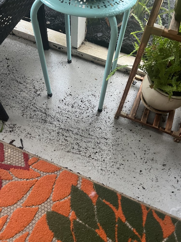 ESTATES AT BELLWOOD APARTMENT HOMES Updated August 2024 20 Photos