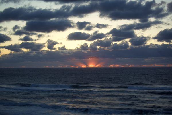Ocean Haven Yachats by null