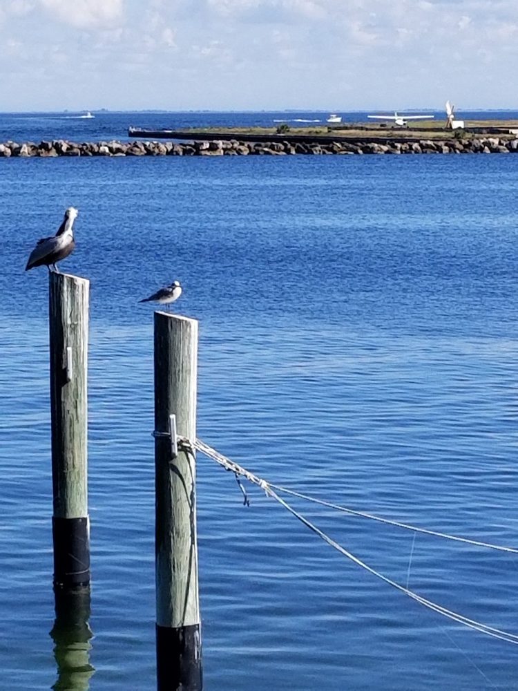 Demens Landing Park Image