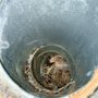 Photo of Vent Pros Hawaii