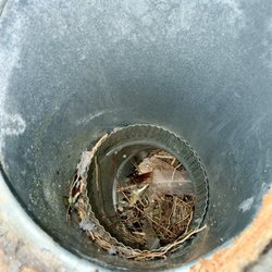 Vent Pros Hawaii - Bird nest in our dryer vent shaft - VN