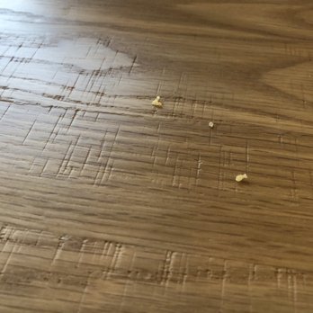 MOD Pizza - Couldn't get any of the staff-who were sitting together at an even dirtier table-to clean our table. - Pizza Near Me - Gilbert, Arizona