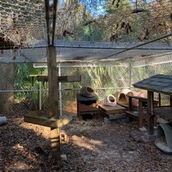 Tarp Supply Inc. - Clear PVC Tarps used to block rain and wind for cat sanctuary