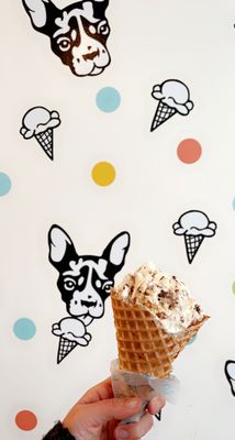 Molly Moon's Homemade Ice Cream Bellevue by null