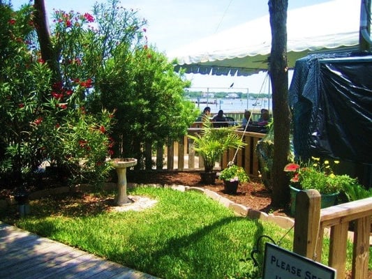 Kingfish Grill.....Only Fresh Fish! by null