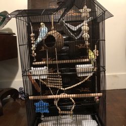 Carson's Critters - Thank you Carson critters!!!! We love our new additions.