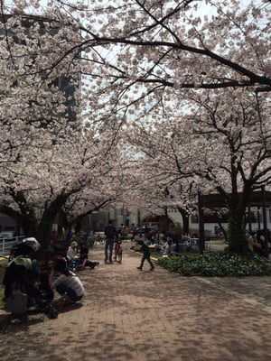 山王公園 Parks 博多区山王1丁目9番 福岡市 福岡県 Japan Phone Number