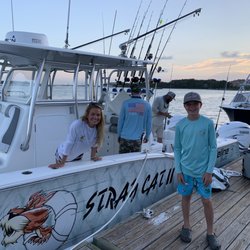 Stray Cat Charter