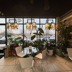 Boba Tea House - Beautiful lobby