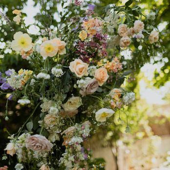 Alpenglow Gardens - Floral Designers Near Me Alpenglow Gardens - Floral Designers Near Me