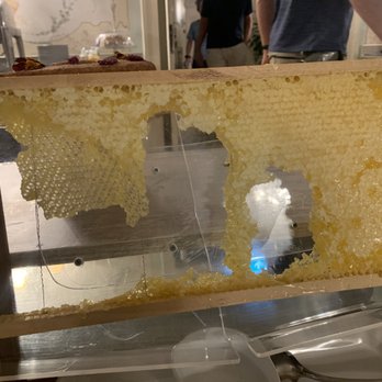 Tivoli Palácio de Seteais - The honey at breakfast straight from the hive.  (I guess.) - Hotels Near Me - Sintra, 11