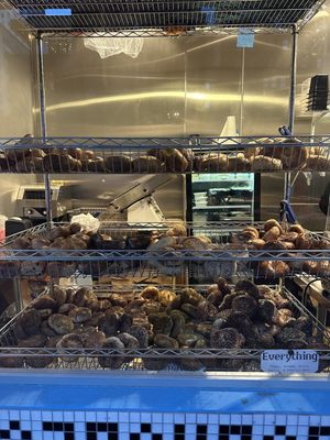 Starship Bagel by null