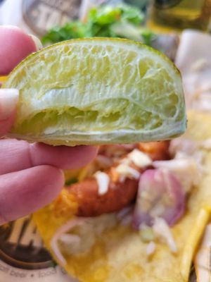 Hillgrove Tap by null