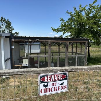 The Rellik Winery - Chickens - Wineries Near Me - Central Point, Oregon The Rellik Winery - Chickens - Wineries Near Me - Central Point, Oregon