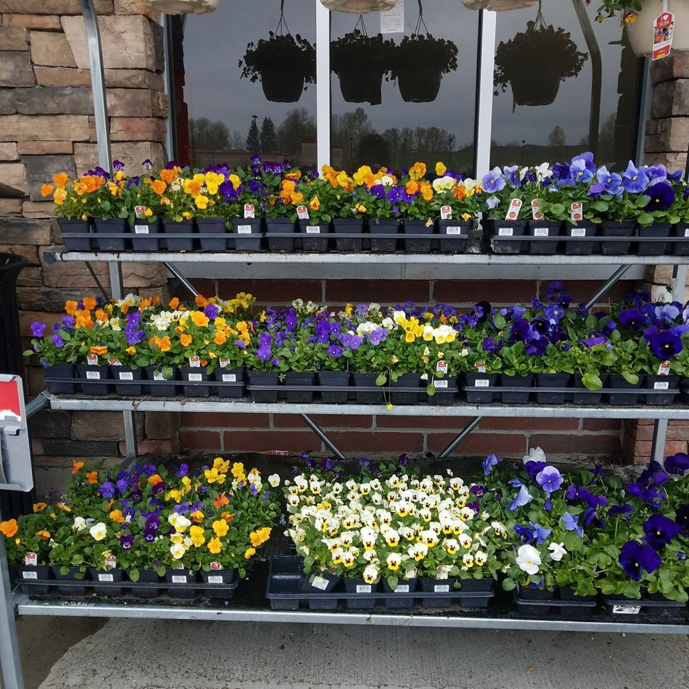 Walmart Supercenter - a display of flowers - Grocery Near Me - Monroe, Washington