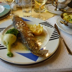 Donau Hotel - Saibling Müllerin Art