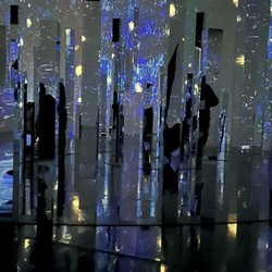 Immersive Van Gogh Exhibit Denver