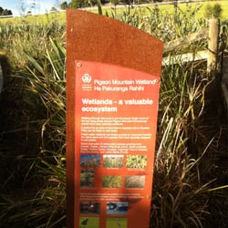 Pigeon Mountain Wetland