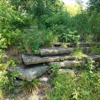Alfred Caldwell Lily Pool - Parks Near Me - Chicago, Illinois Alfred Caldwell Lily Pool - Parks Near Me - Chicago, Illinois