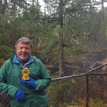 Little Qualicum Falls Provincial Park - Me & my Mascot - Parks Near Me - Qualicum Beach, British Columbia