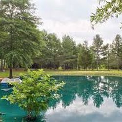 Lovin' Life RV Park and Country Store - Goldfish Pond