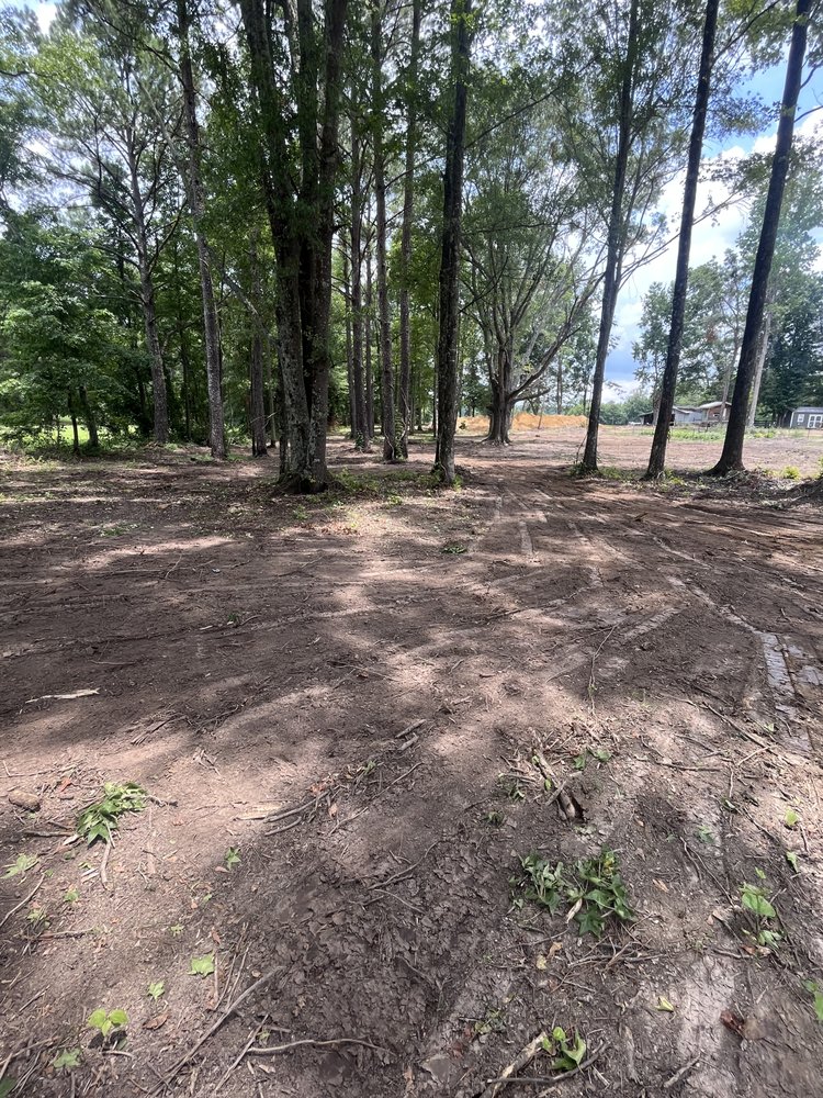 Douglass Land Development - tree service in Thorsby, AL