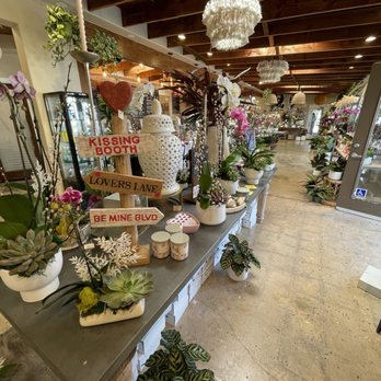 Garden District Super Foods - Juice Bars & Smoothies Near Me - Seal Beach, California
