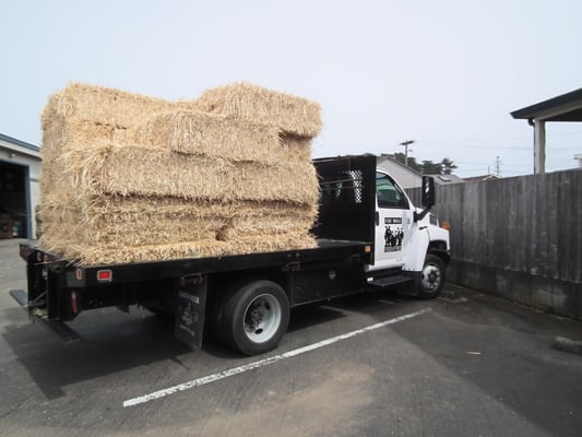 Fort Bragg Feed & Pet Inc