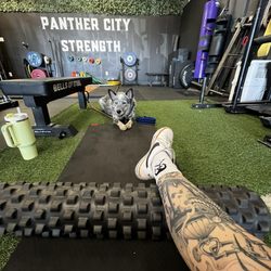 Panther City Strength