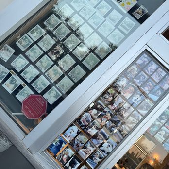 Starbucks - Their "pup cup wall" in the drive thru is so sweet! - Coffee & Tea Near Me - Harbor City, California Starbucks - Their "pup cup wall" in the drive thru is so sweet! - Coffee & Tea Near Me - Harbor City, California