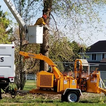 Holbert & Sons Tree Service - Tree Services Near Me