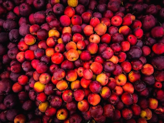 Finnriver Farm & Cidery by null