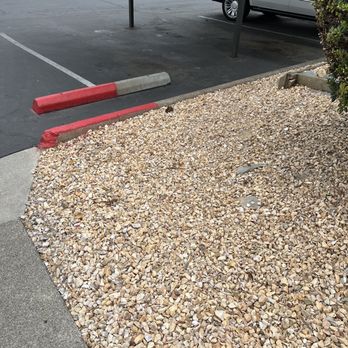 The Phoenix - Apartments Near Me - Sacramento, California The Phoenix - Apartments Near Me - Sacramento, California