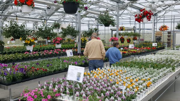 Rulfs Orchard by null