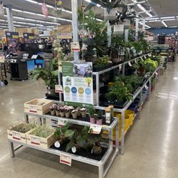 Buikema's Ace Hardware - A decent selection of houseplants for a small hardware store