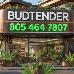 Tobacco Shop Dba Cigarettes Plus