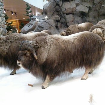 Cabela's - Outdoor Gear Near Me - Triadelphia, West Virginia