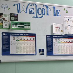 The Vet House