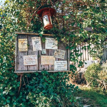 Hobbiton - Tours Near Me - Matamata, WKO Hobbiton - Tours Near Me - Matamata, WKO