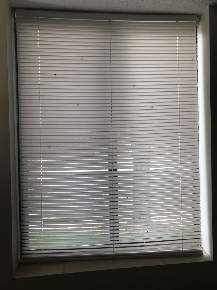 WAVERLY PLACE Updated September 2024 10 Photos 97 Rockwood Avenue