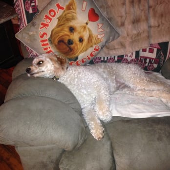Terry Lynn's Critters - Pet Sitting Near Me - Kennett Square, Pennsylvania Terry Lynn's Critters - Pet Sitting Near Me - Kennett Square, Pennsylvania