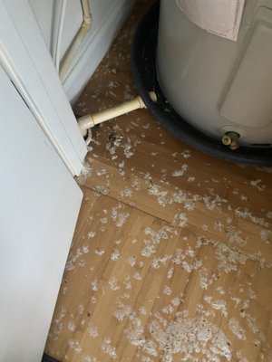 Festival Park by null