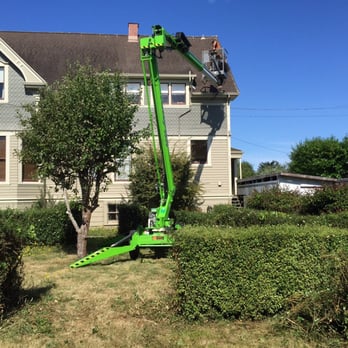 Accurate Termite & Pest Solutions - Installing bat netting to safely remove bats from attic. - Pest Control Near Me - Fortuna, California Accurate Termite & Pest Solutions - Installing bat netting to safely remove bats from attic. - Pest Control Near Me - Fortuna, California
