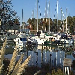 Deltaville Yachting Center - Morning at the slips